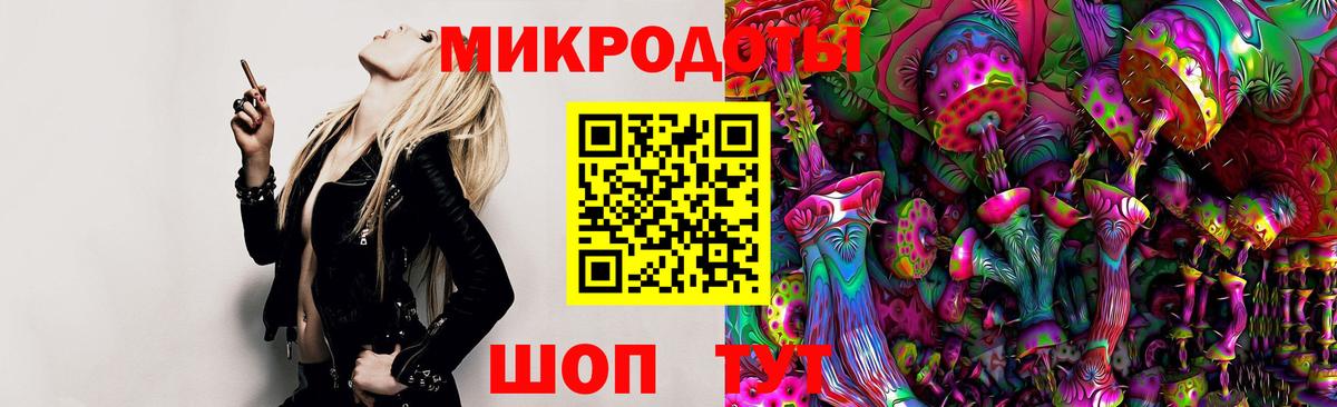 Галлюциногенные грибы Cubensis Майский